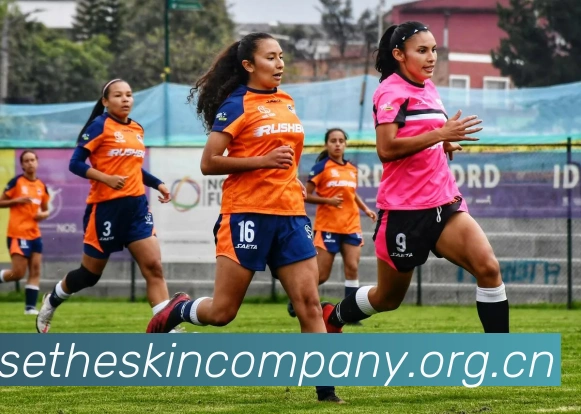 米兰体育在线登录入口APP 高清赛事图